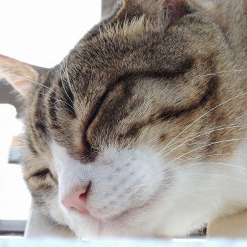 yuutoabe1993's profile picture. アイドル大好き！