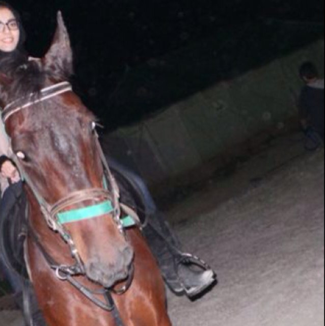 http://t.co/SO2W2C6jSN (لك الحمد حمد الشاكرين   #إلهي ، إنّ كان في عُمرِي بقِية .. فإرزقنِي زيارة الامام الحسين (ع) '