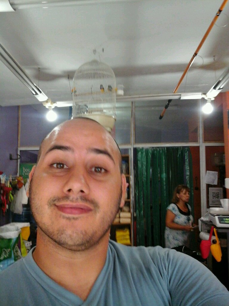 Yosoyrealmenteg's profile picture. criadero boston terrier cachorros disponibles...estudio en tercer año de canto