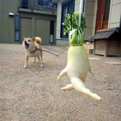 じゃがいもマン Satoimomania Twitter じゃがいもマン Satoimomania Twitter