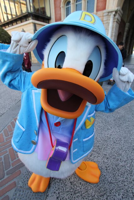 Disney大好き♥共通持ち平日イン。情報収集メインの為、呟きは少なめ。たまに写真投稿📷＆広島東洋カープ⚾(野球関連)の呟きも