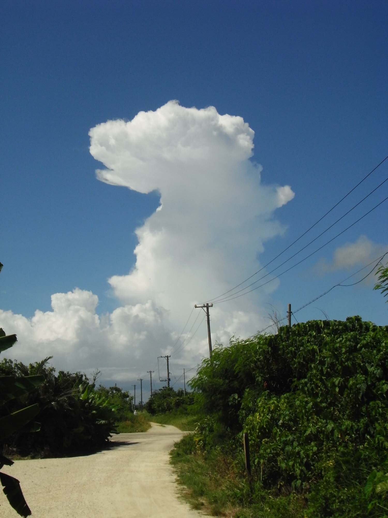 cktmstthesay's profile picture. 