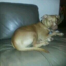 kaaddae69's profile picture. 