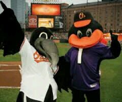 LaxJester11's profile picture. 