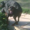 freddy jimenez - @freddyjimenez20 - Twitter