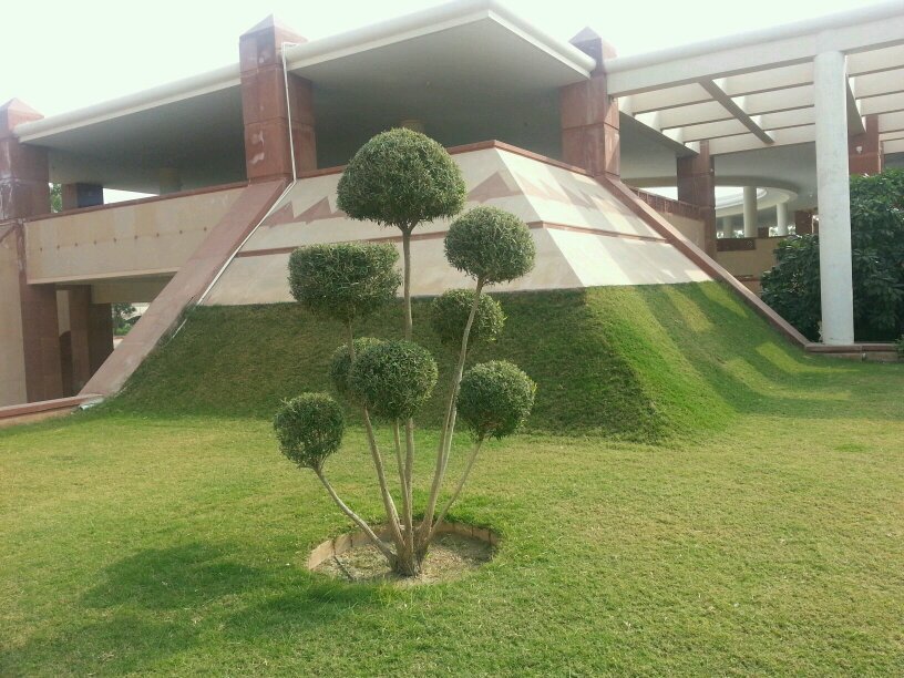 agriculture engineer