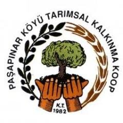 PasapinarKoop's profile picture. #zeytin ve zeytinyağı #olive #oliveoil #reklam #pazarlama  pasapinarkoop@gmail.com