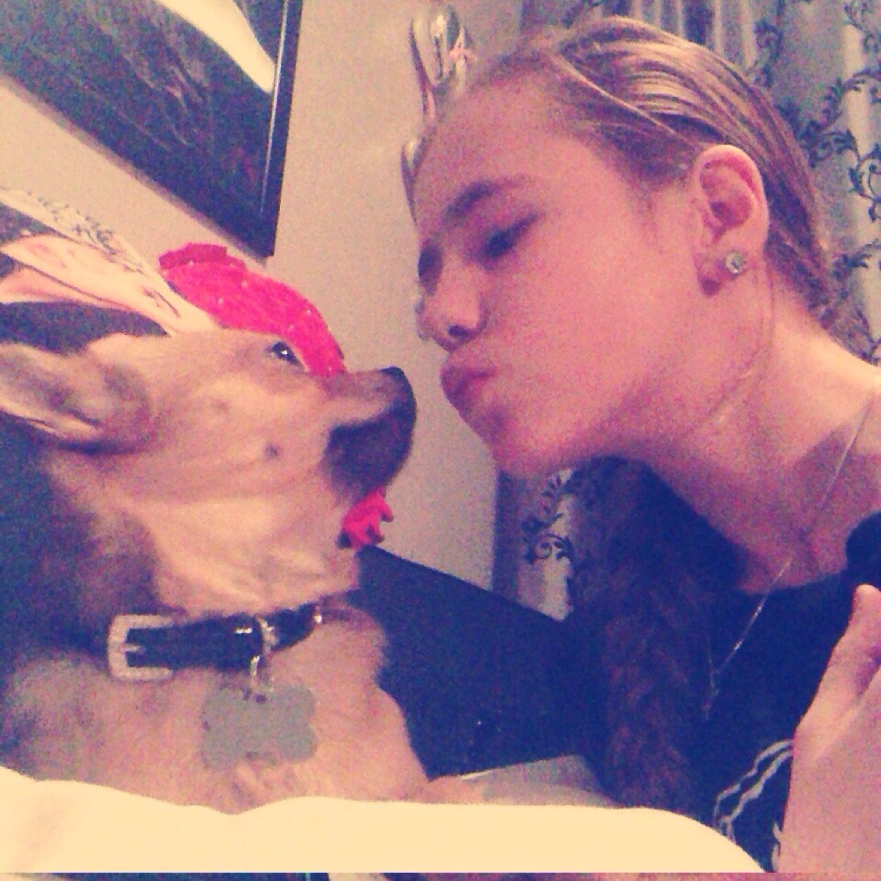 ℬℯℓιℯℬℯr♡•sprengeloo 1ka same met bestie louisa•best friends&sistaahs w/ louisa•love horses and dogs•love my family&friends❤️