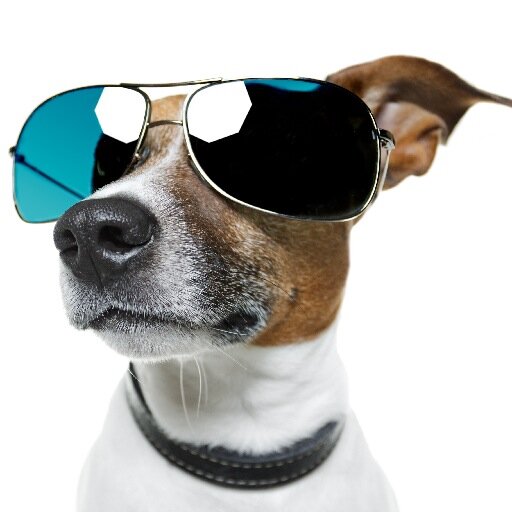 Bekendophetnet's profile picture. Wij helpen ondernemers met het online bereiken van hun doelgroepen. Online vindbaarheid zorgt voor meer bezoekers, meer interactie en extra omzet.