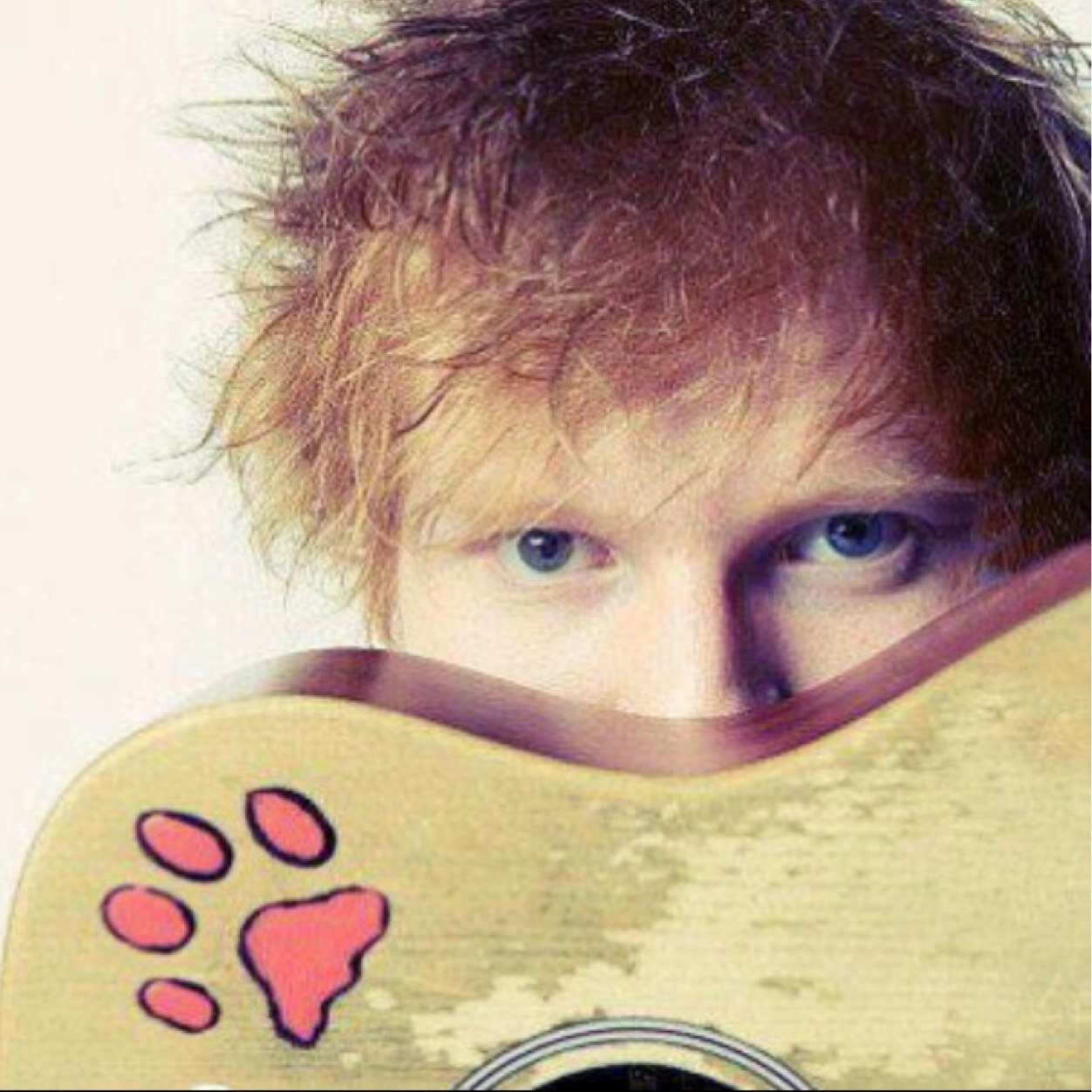 A fan account. I love Ed's music and think his lyrics are beautiful. The world needs more musicians like Ed. My personal twitter is @rx_alro, I follow back :)