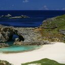 Fatima Jakoet Miller - @fatima_miller - Twitter