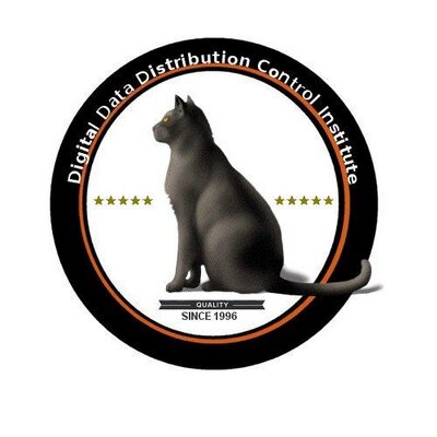 dddci's profile image