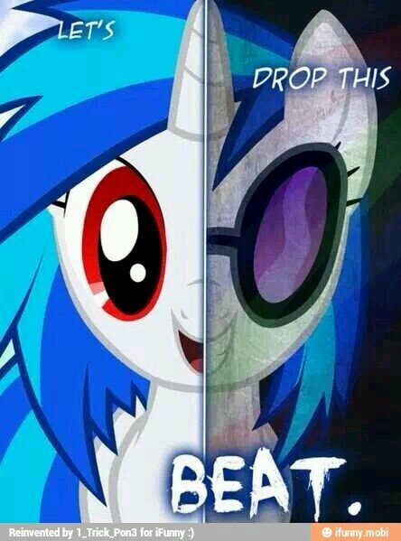 I'm a brony and obsessed with NASCAR and going to the dirt track near me with my family