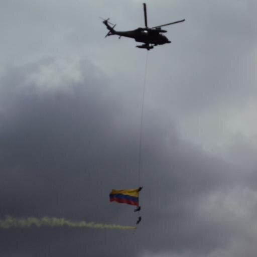 ChicaGustavo's profile picture. 