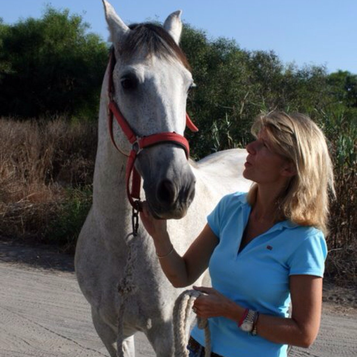 pasalrio's profile picture. 