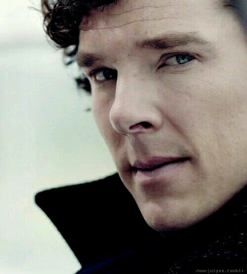 Not Dead. -SH.