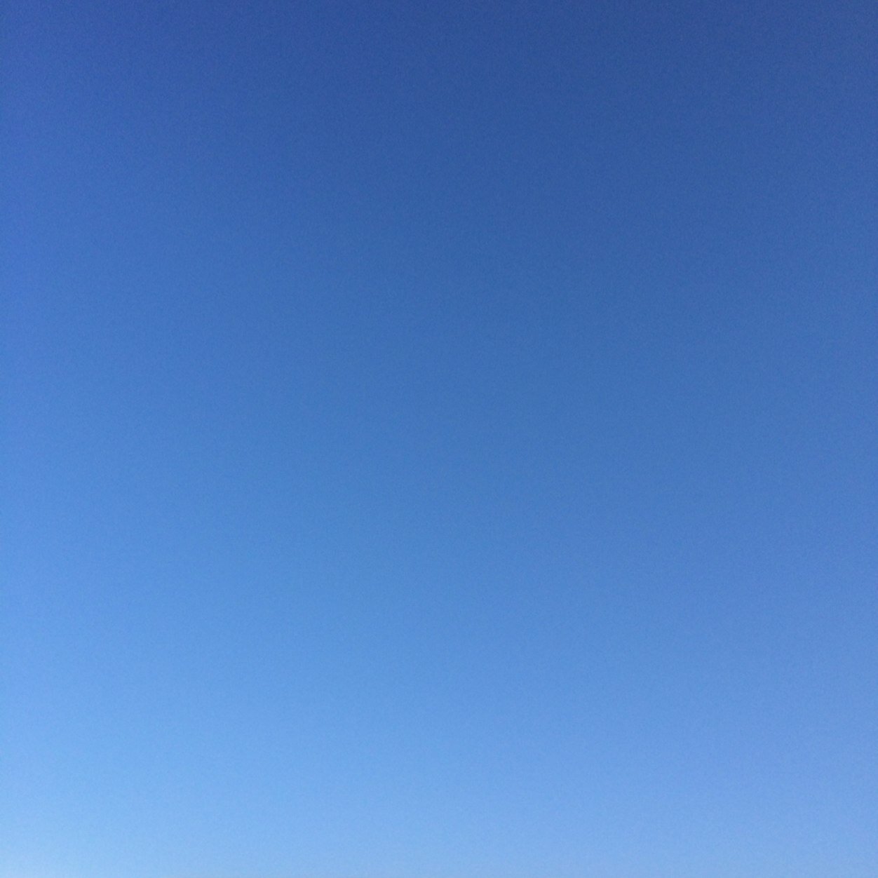 Lucio68Luciuos's profile picture. 