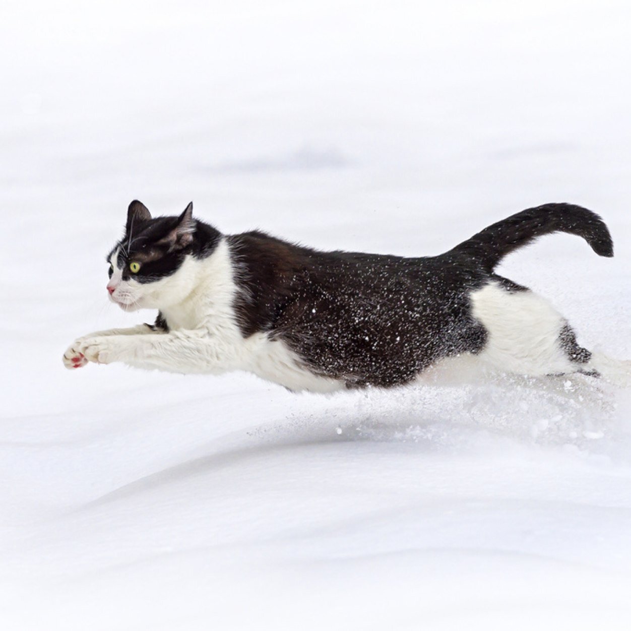 keikei201009's profile picture. 在宅で仕事中