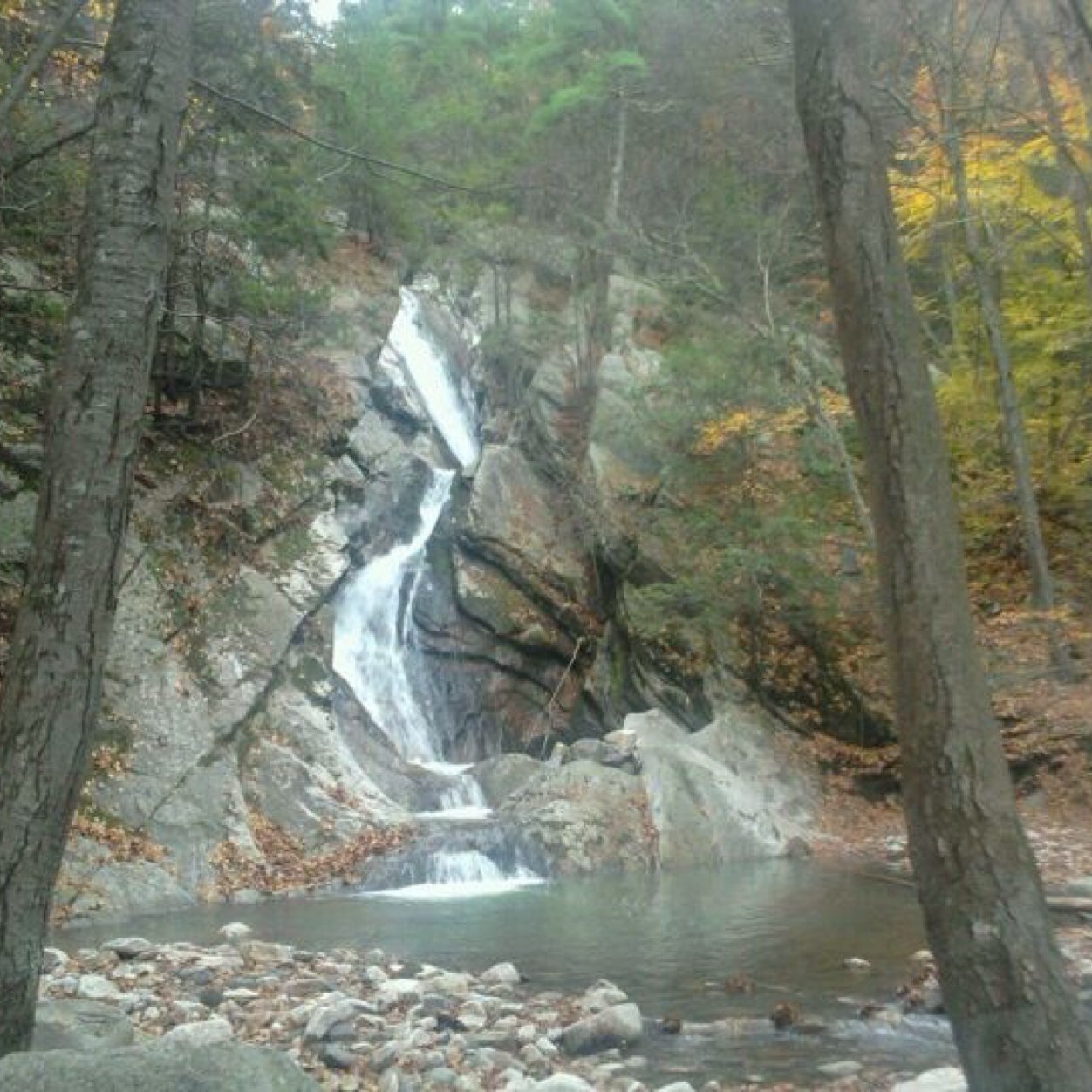 kimjimkrjo's profile picture. 