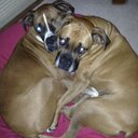 Janelle Rogers - @janellerogers76 - Twitter