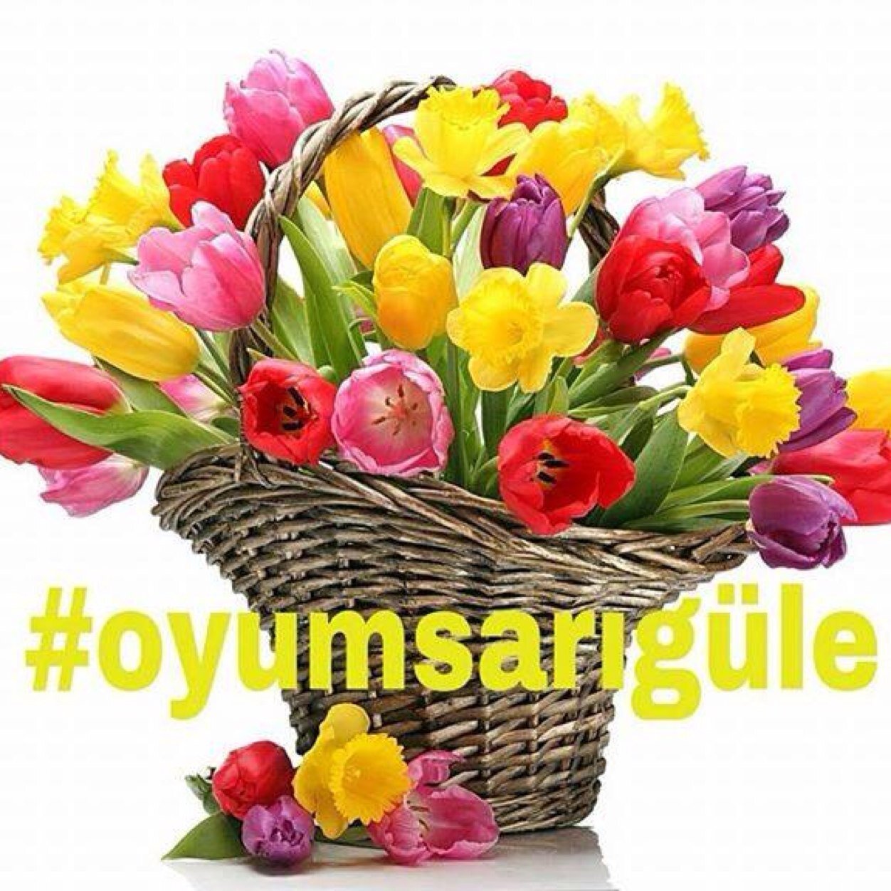 @doganmaden @m_sarigul @emirsarigul @degisimgeliyor