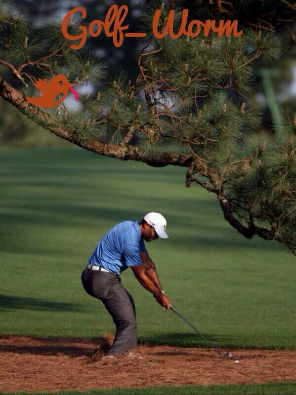 Golf_Worm's profile picture. Lover of all things Golf #Golf #GolfReview #LoveGolf #LinksGolf #ParkGolf #PGA #Equipment #Courses #Swingtips #Golftrips #Tour