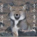 YOON chang hyun - @GGOLIAT - Twitter