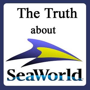 We are dedicated to sharing news and info about SeaWorld's rescues and conservation efforts. (Not an official SeaWorld Twitter feed.)