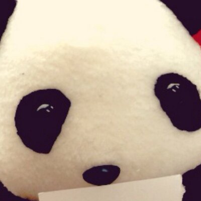 ぱんだ