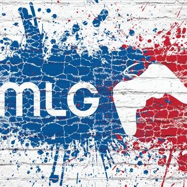 Team HoLLoW is a team founded in Michigan, and consists of Attrition8,  Mur0man, Xx Duck Extacy, and HoLLoW BiGGiE. Message for ts. 7pm - 10pm EST.