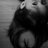 23maisadanielle's profile image