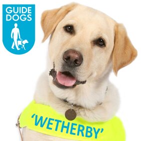 Raising £5000 to 'Name a Puppy' for Guide Dogs....and the puppy's name...WETHERBY! Come on you local #Wetherby people & businesses...get in touch and involved!