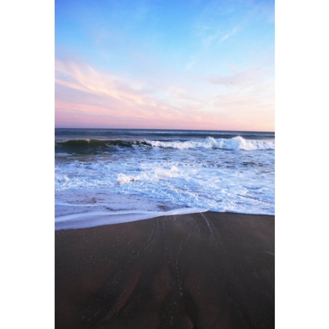 BVSEDSLUT's profile picture. For the thrill of it.