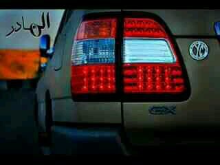 salh3044781's profile picture. 394. My plants are alive, but my social skills are not. 🌿📵