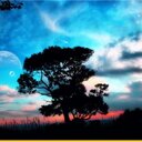 Amelie Brooks - @Amelie_Brooks - Twitter