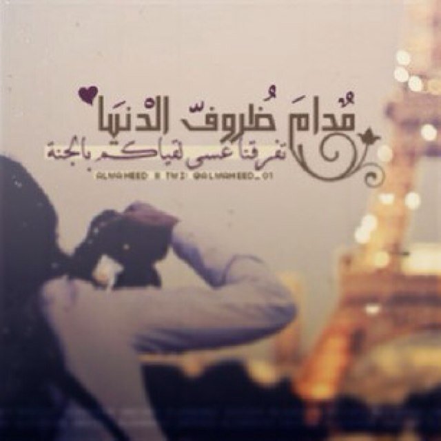 كاتب عاشق ادرس علم تشخيص حاصل علا شهاده بليورجيه لعلم النفس تحت ١٨ ومؤلف راوايه ابي دعمكم عشان ألف روايه يديده  kik:badla7sesak