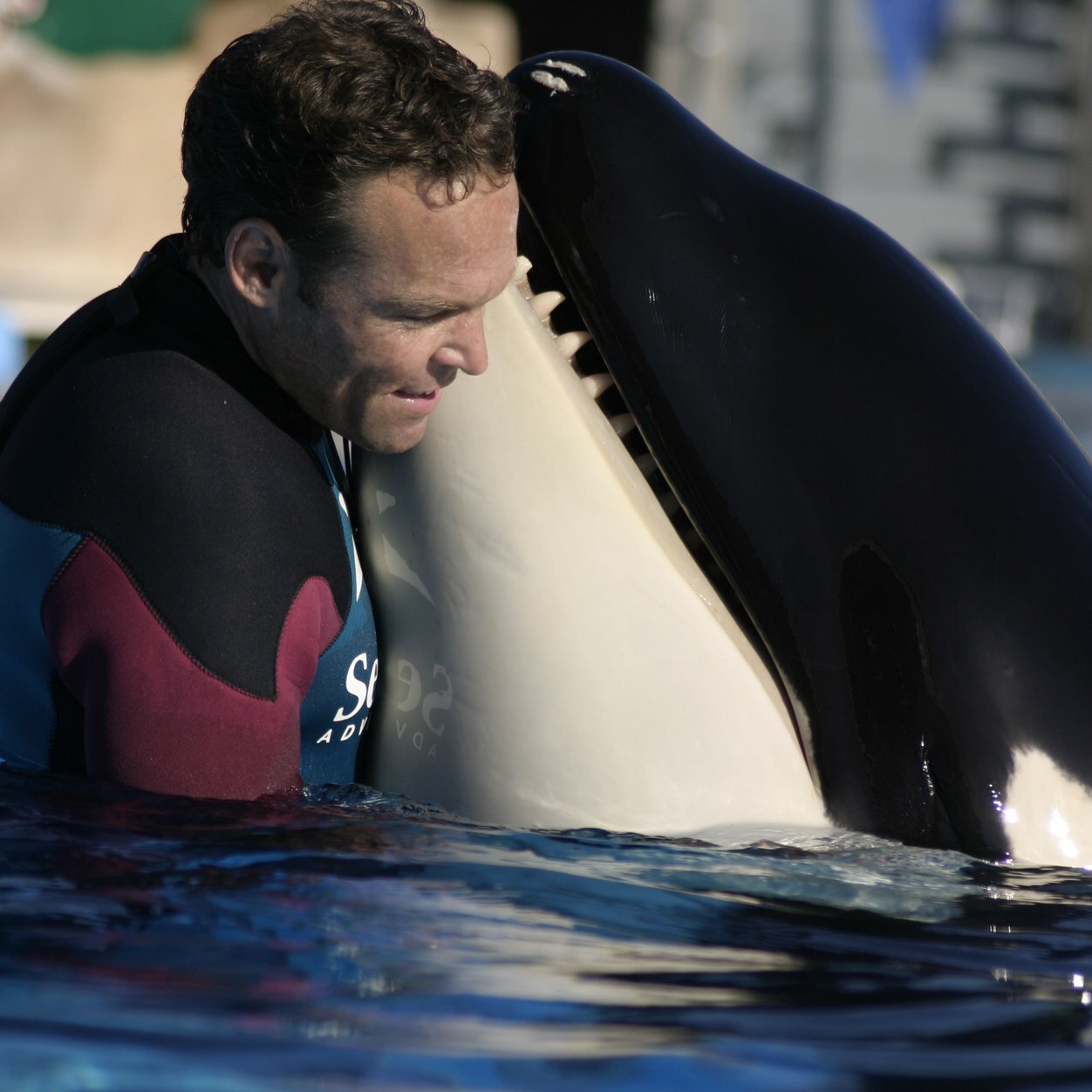 kenwilliamson8's profile picture. SoCal Paragliding