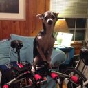 Sami Winter - @pinkironchick - Twitter