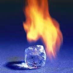 xCalamaR's profile picture. Director de @DcsGaming GT: TheCalmMarc