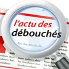 Blog sur les #débouchés du site #reussirmavie, Secteurs et entreprises qui recrutent, Formations et métiers qui mènent à l'#emploi,  #formation