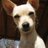 white_star1912's profile image