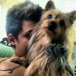 PrendasDoJV's profile picture. Since: 03/11/11 |Você nunca saberá o significado da palavra solidão,porque enquanto eu respirar,eu estarei do seu lado! @joaovictorevoce