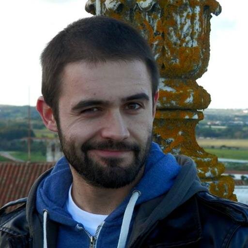 Software Developer