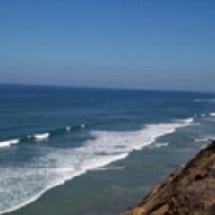 ShellyTUU's profile picture. Dog mommy; UU seminarian; science geek; art lover; mermaid