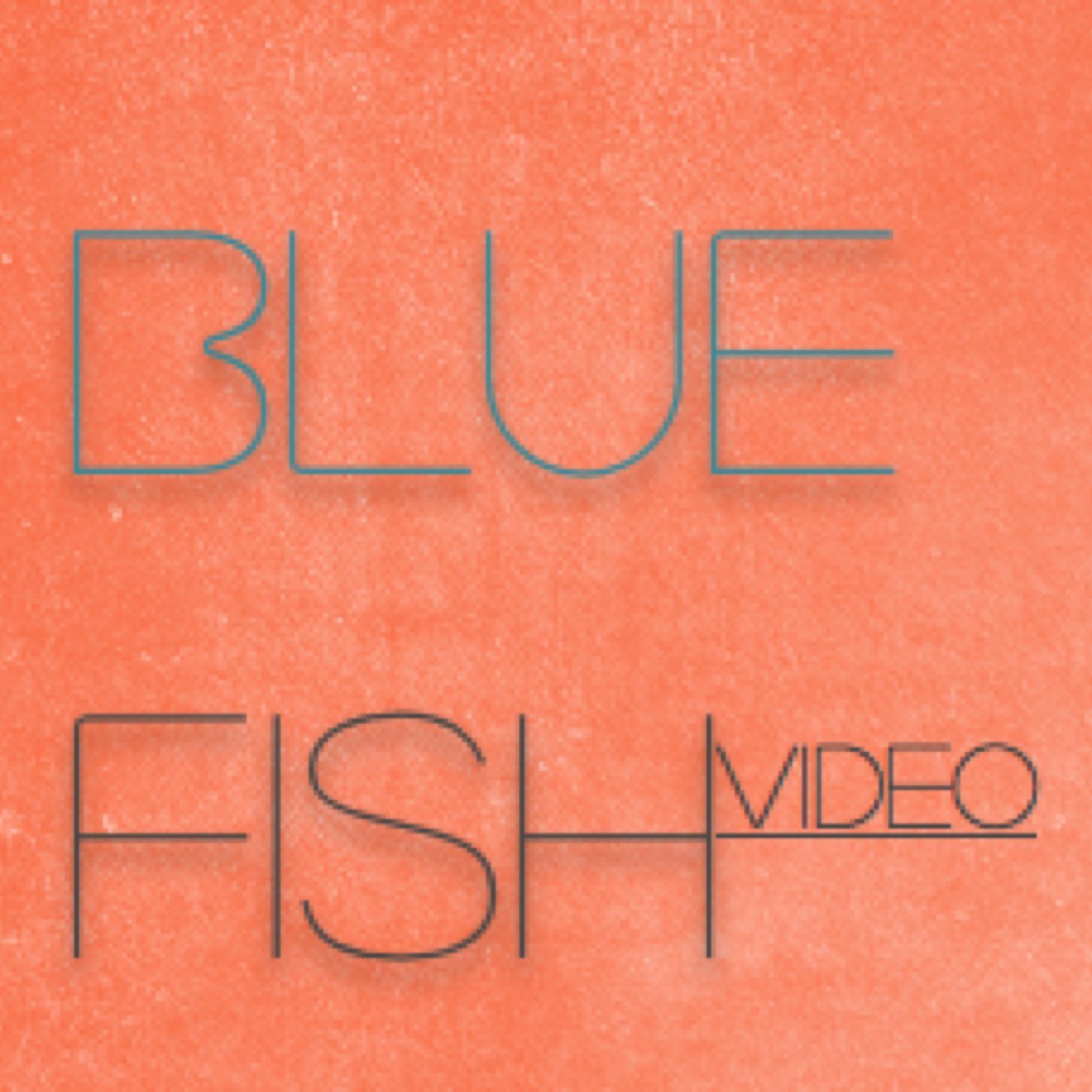 bluefishvideo Profile