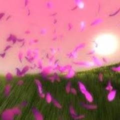 AnidaPamic's profile picture. :*