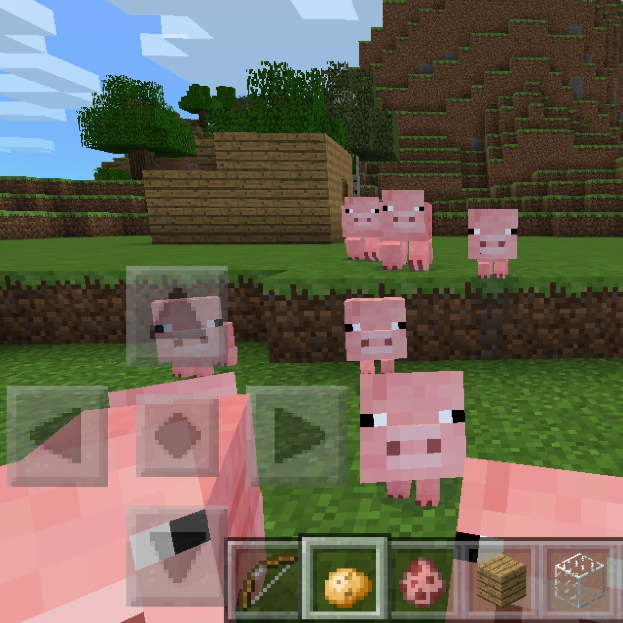 Hey guys!! I am a mincrafter and enjoy having followers! Lol everyone enjous followers!!also subscribe to sylvieplaysmcpe and follow miningdiamondsismything! :)