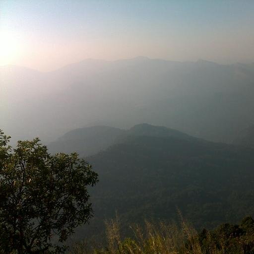 strategist010's profile picture. policy Analyst, Economist and a spiritual enthusiast