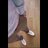 Hendry_Andreas's profile image