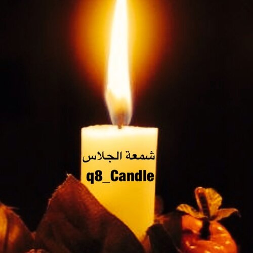 q8_Candle Profile Picture